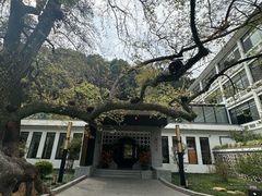 -广东温泉宾馆