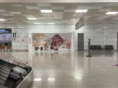 -郑州新郑国际机场-T2航站楼
