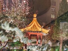 -九献创意菜(亮马河花园店)