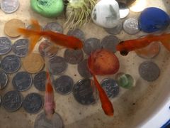 -胖哥俩肉蟹煲(福州仓山爱琴海店)