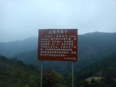 -广州市石门国家森林公园