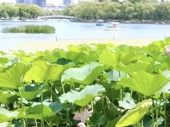 -长春市南湖公园