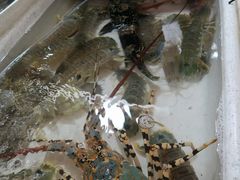 -班赞海鲜市场