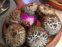 -小牛哈尼章鱼水煎肉(金鹰店)