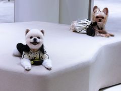 -成都银泰中心in99
