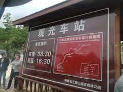 游乐设施-王顺山国家森林公园