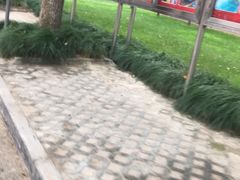 -上海外国语大学(虹口校区)