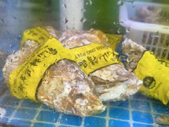 -来之顺海鲜菜馆·青岛菜·始于1993(栈桥店)