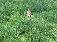 -甘加秘境