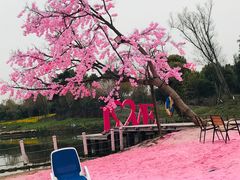 -上海杨姆庄园