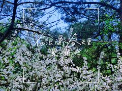 -童牛岭风景区