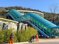 -大连森林动物园