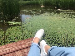 -武清南湖绿博园