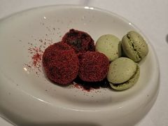 -蝶舍·MAISON PAPILLON