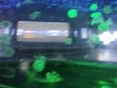 -梦幻海洋王国(吾悦广场张家港店)