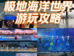 -泉城欧乐堡海洋极地世界