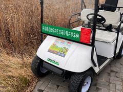 -盐城丹顶鹤湿地生态旅游区