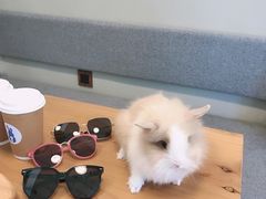 -小意思咖啡店(草桥店)