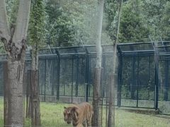 -秦皇岛野生动物园