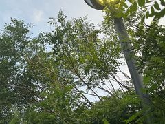 -马家湾湿地公园