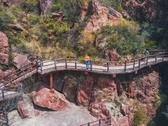 -伏羲山旅游区