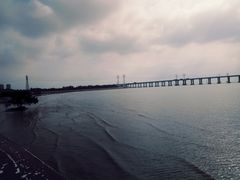-宝安西湾红树林湿地公园