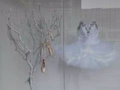 -iBallet爱芭蕾舞蹈艺术中心(星合校区)