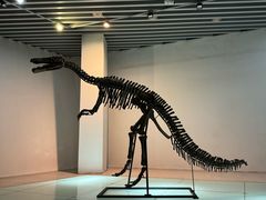 -烟台自然博物馆