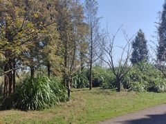 -梁鸿国家湿地公园