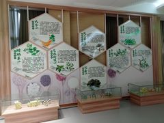 -广西壮族自治区药用植物园