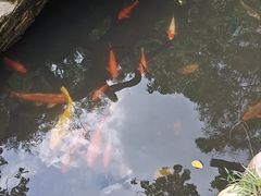 -龙门水都景区