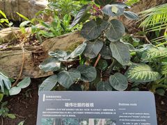 -北京植物园-展览温室