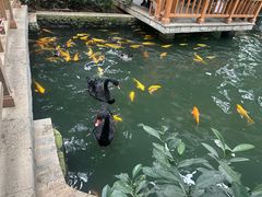 -南宫五洲植物乐园