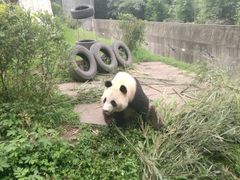 -仙芝竹尖生态园旅游景区