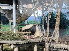 -苏州太湖国家湿地公园