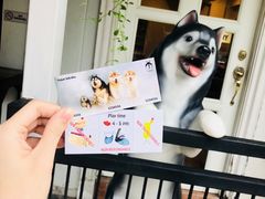 -TrueLove @ Neverland (Husky Cafe)