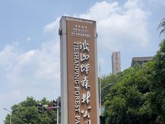 -铁山坪森林公园