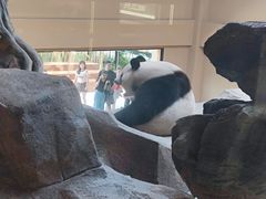 -宁波野生动物园