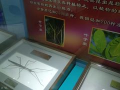-上海昆虫博物馆