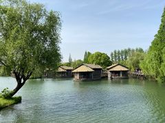 -乌镇景区