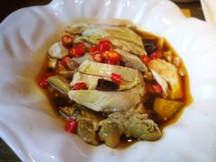 椒麻鸡-金豆角砂锅焖面(安贞店)