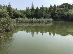 -上海怡沁园度假酒店
