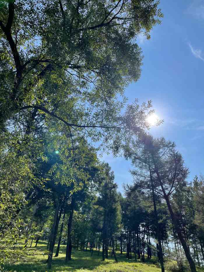 哈尔滨卧龙岗陵园,原名"王宝岭".相传唐开元年(即公元713年).