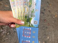 -西双版纳原始森林公园