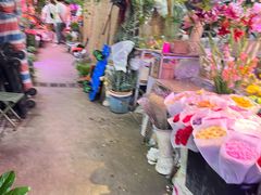 -花鸟鱼虫鲜花绿植市场(玉泉路店)