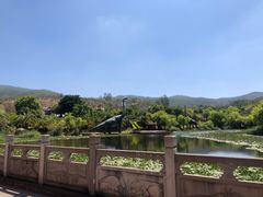 -世界恐龙谷景区