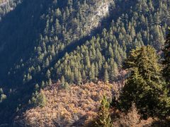 -九寨沟-树正沟