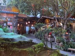 -青城甲(青城山店)
