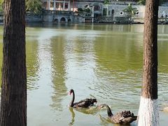 -东莞市可园博物馆