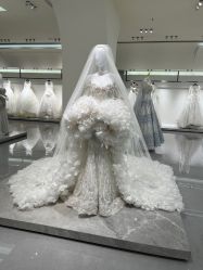 -南京宝娜嫁衣婚纱礼服馆(中央路店)